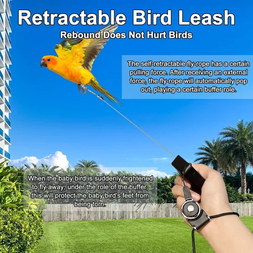 Miniatura 3 de Correa retráctil para pájaros, cuerda voladora de loro, correa de loro de cuerda de alambre antimordedura, arnés ajustable para pájaros