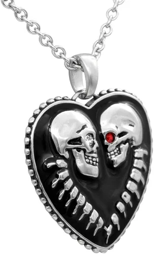 Miniatura 2 de Controse Bound For Eternity - Collar de corazón con dije (cadena de acero inoxidable 316L de 27 pulgadas)