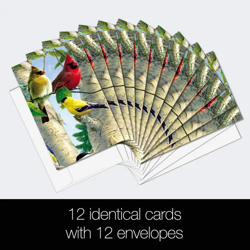 Miniatura 2 de Tree-Free Greetings EcoNotes - Juego de 12 tarjetas de notas favoritas para todas las ocasiones con sobres, 4 x 6 pulgadas (FS66507)