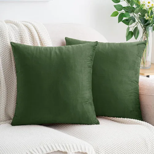 Miniatura 18 de HWY 50 Juego de 2 fundas de almohada de terciopelo verde azulado de 16 x 16 pulgadas, suaves, acogedoras, lisas, decorativas, de lujo, para sofá