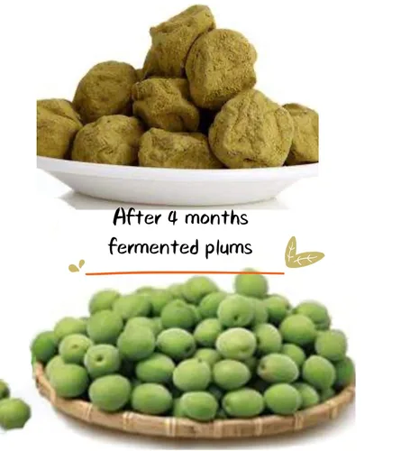 Miniatura 6 de Albaricoque verde fermentado, 100% natural, antioxidantes, soporte digestivo, vegano, sin gluten, sin conservantes, (15 paquetes)