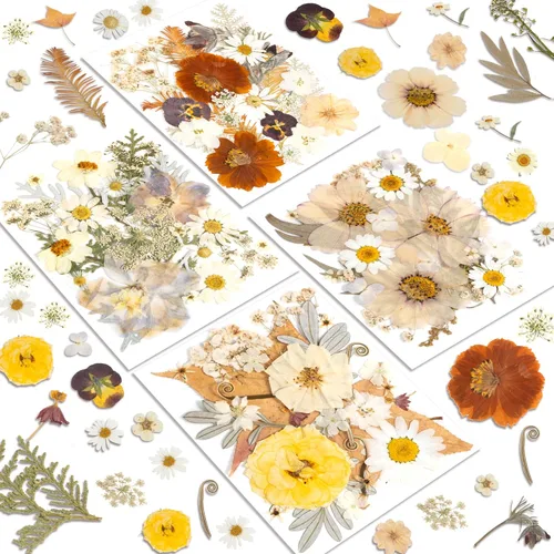 Miniatura 18 de Flores Secas, Resiners 58 Piezas Flores Prensadas para Manualidades Rosa Flores Secas Naturales Reales Kit de Hojas Secas para DIY Hacer