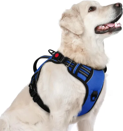 Miniatura 12 de rabbitgoo Arnés para perro de tamaño pequeño, arnés para mascotas sin tirones con mango acolchado suave, chaleco reflectante ajustable con 3