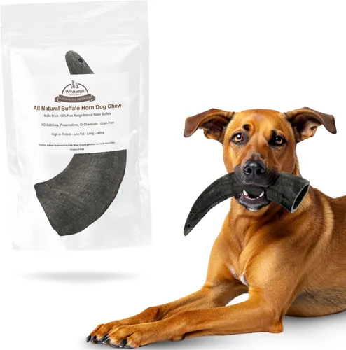 Miniatura 10 de WhiteTail Naturals - Cuernos de búfalo de agua para perros (paquete mediano, 3 unidades) Hueso de perro totalmente natural - Hueso masticable