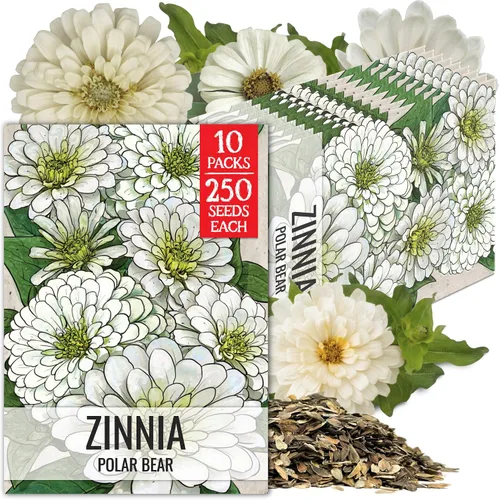 Miniatura 43 de Seed Needs California Giants - Semillas de zinnia – 250 semillas tradicionales para plantar Zinnia elegans – Cultiva flores anuales polinizadas