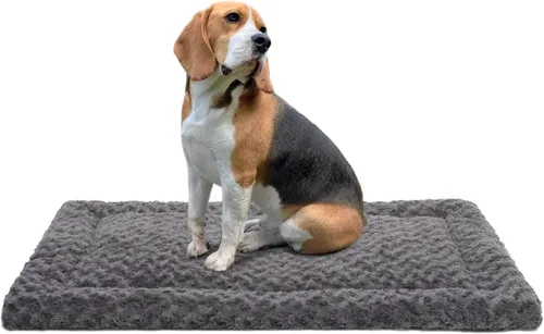 Miniatura 18 de Tapete lavable para cama de perro, suave y esponjoso, para mascotas, colchón para dormir para perros grandes, jumbos, medianos y pequeños, 30 x 19
