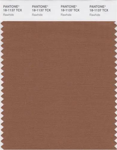 Miniatura 11 de PANTONE Tarjeta de muestra de color inteligente 18-1314X, bellota