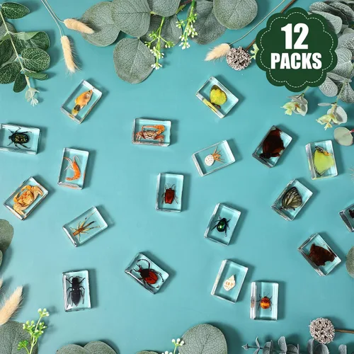 Miniatura 4 de 12 piezas de insectos de mariposa en resina colección de insectos, 12 estilos, kit de insectos reales preservado en resina para suministros