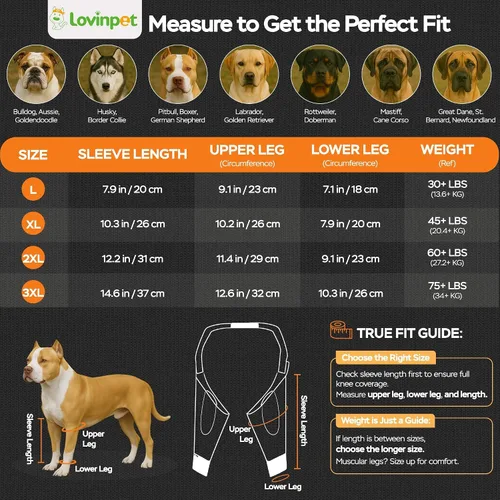 Miniatura 3 de LovinPet Mangas delanteras para perros medianos y grandes, protector impermeable para codos y rodillas, recuperación antilamientos, soporte