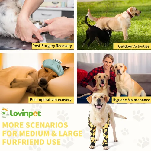Miniatura 7 de LovinPet Protector de Codo para Perro Manga de Codo Anti-Lamido, Ajustable, Cómodo y Duradero Protector de Pata Delantera para Perros Medianos a