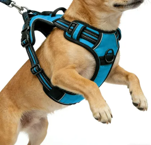 Miniatura 18 de Arnés azul para perro sin tirones con 2 clips para correa, chaleco acolchado suave para perros grandes, chaleco reflectante ajustable para perro