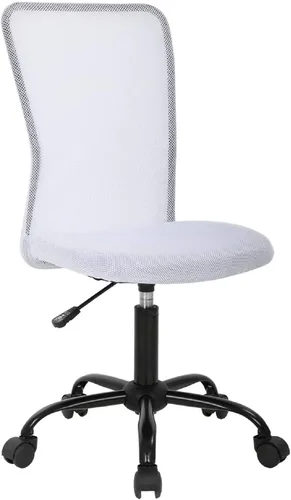 Miniatura 11 de HGS Silla de trabajo ergonómica sin brazos, silla de escritorio para computadora de oficina, silla de oficina en casa con soporte lumbar, silla