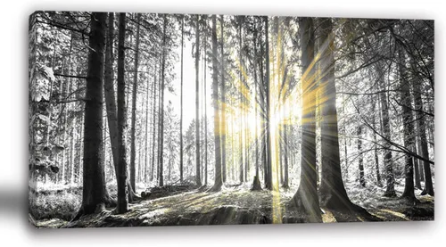 Miniatura 7 de Yxbhhym - Arte de pared en blanco y negro con temática de puesta de sol en la playa, decoración costera para la habitación, imagen del océano