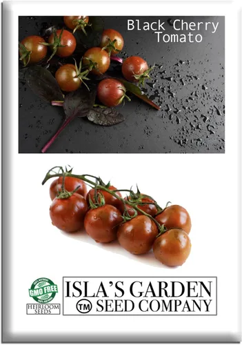 Semillas de tomate cereza negra para plantar, más de 25 semillas de reliquia por paquete, semillas de jardín de Isla (semillas de jardín de Isla),