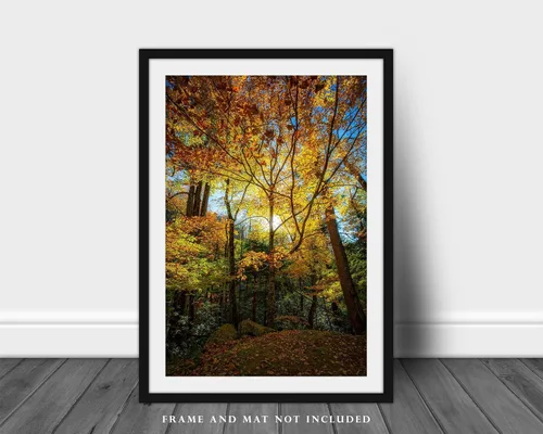 Miniatura 3 de Impresión de fotografía de bosque (sin marco) Imagen vertical de hojas iluminadas por la luz del sol en el día de otoño en grandes montañas