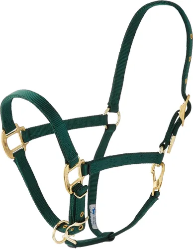 Hamilton Caballo árabe de nailon de 3/4 pulgadas con barbilla ajustable y broche de garganta, promedio, 800 a 1100 libras, verde oscuro