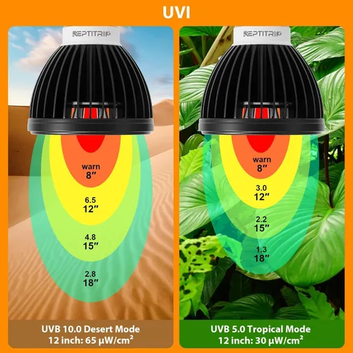 Miniatura 4 de REPTITRIP Luz UVB para reptiles, bombilla UVB 5W 5.0 UVB lámpara LED, bombilla de reptil, proporciona suficiente exposición UVB para especias