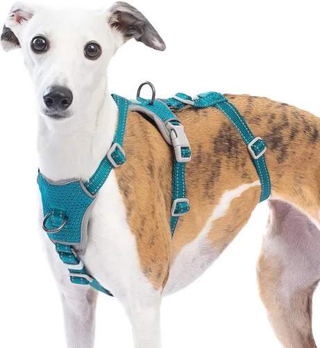 Miniatura 9 de Huntboo Arnés para perro a prueba de escapes, sin tirones, antideslizante, totalmente reflectante, diseño ajustable de 7 puntos para perros