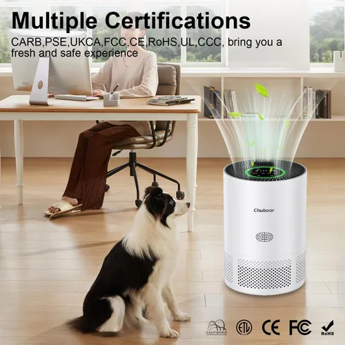 Miniatura 6 de Chuboor Purificadores de aire para el hogar habitaciones grandes de hasta 1200 pies cuadrados, purificadores de aire H13 True HEPA para dormitorio
