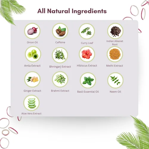 Miniatura 4 de AYURVEDASHREE Champú de cebolla roja para el crecimiento del cabello y control de caídas del cabello, con hoja de curry, hibisco, alanket indio