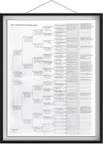 Miniatura 4 de 10 Gráficos de pedigrí en blanco para genealogistas (8 generaciones/256 nombres por formulario) por EasyGenie
