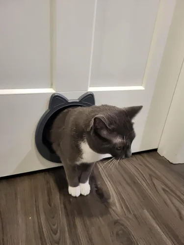 Miniatura 7 de Puerta interior grande para gatos, puerta de gato sin solapa para puerta interior, puerta de mascotas para gatos, fácil instalación, sin Gris