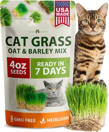 Miniatura 14 de HOME GROWN Mezcla de 3 semillas de hierba para gatos – Semillas de avena, alfalfa y hierba de gato sin OMG Hierba interior para gatos Verdes