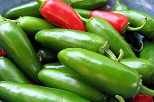 Más de 200 semillas de pimienta jalapeño temprana, reliquia, Country Creek LLC, sin OMG, picante y delicioso