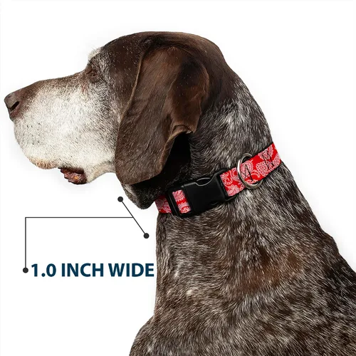 Miniatura 6 de Buckle-Down Collar de clip de plástico rojo y blanco Paisley de 9-15 pulgadas, pequeño