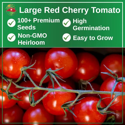 Miniatura 2 de TKE Farms & Gardens Semillas grandes de tomate cereza roja para plantar, más de 100 semillas de reliquia no transgénicas, cultivan tomates cherry