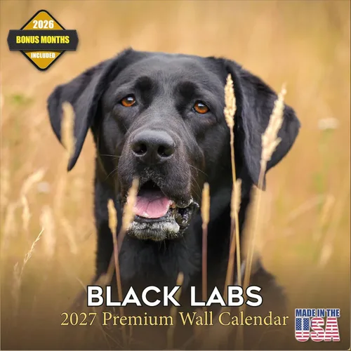 Miniatura 151 de Calendario 2025 2026 de cachorros Cocker Spaniel - Calendario mensual de pared de raza de perro - 12" x 24" abierto - Papel grueso sin sangrado