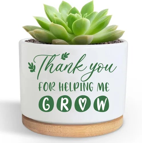 Miniatura 8 de DOFAFALA Maceta Graciosa para Suculentas, Maceta para Cactus, Regalos de Flores, Regalos Inspiradores de Apreciación para Amantes de Plantas, Nunca