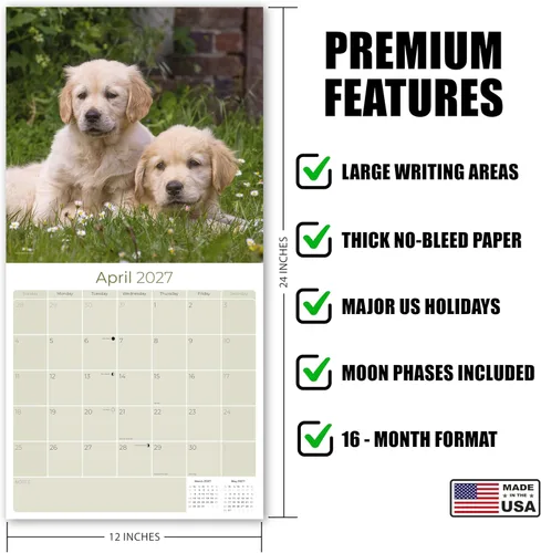 Miniatura 4 de Razas de Perros 2017 cachorros de golden retriever