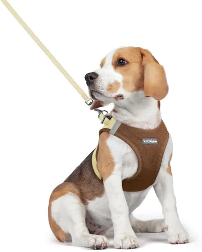 Miniatura 92 de rabbitgoo Juego de arnés para perro de tamaño pequeño y correa, chaleco ligero suave para cachorro, arnés de malla transpirable para mascotas