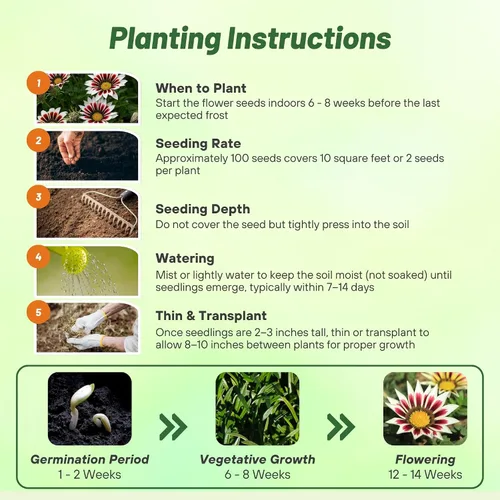 Miniatura 4 de Outsidepride Kiss White Frosty Flame Gazania Semillas para plantar, 25 piezas de semillas perennes, de bajo mantenimiento, tolerantes a la sequía