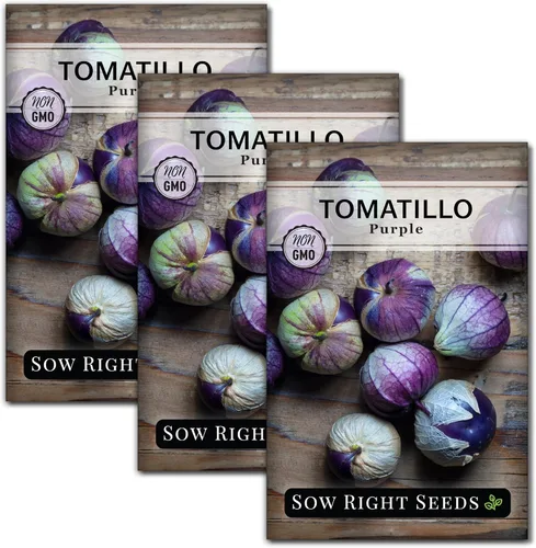 Miniatura 8 de Sow Right Seeds - Semillas de tomatillo morado para plantar - Paquete de reliquia sin OMG con instrucciones para plantar un huerto en el hogar al
