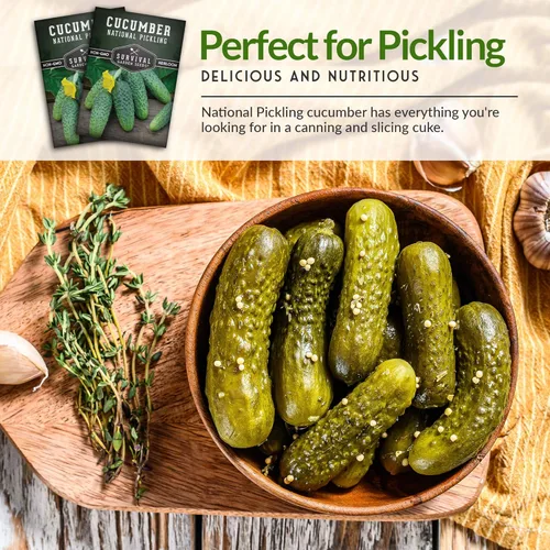 Miniatura 4 de Survival Garden Seeds National Pickling - Semillas de pepino para plantar Variedad tradicional sin OMG para encurtidos caseros crujientes