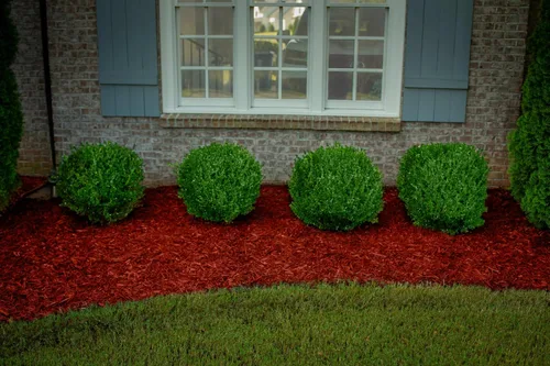 Miniatura 3 de Tinte de mantillo rojo, cobertura de 3,200 pies cuadrados – Colorante de mantillo para paisajismo y camas de jardín, tinte de mantillo de madera