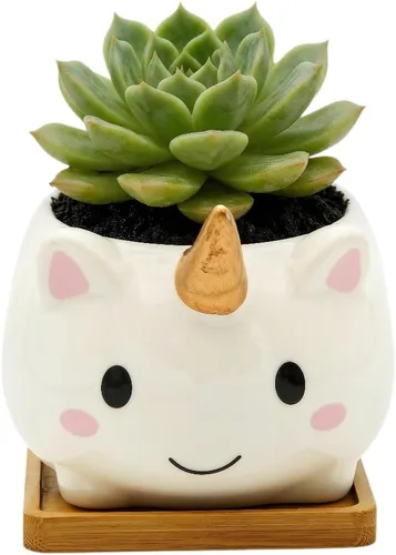 Miniatura 12 de Cuteforyou Macetas para suculentas, bonita maceta de cerámica con forma de vaca de dibujos animados para suculentas/cactus/flores, soportes