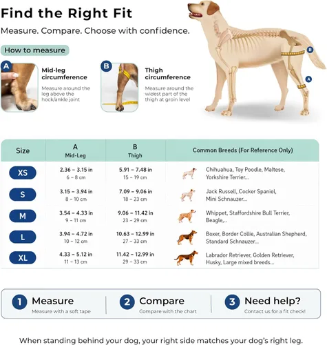 Miniatura 6 de Rodillera para perro para soporte de pierna trasera, pierna derecha, soporte CCL ACL para perros, aprobado por veterinarios, soporte ortopédico