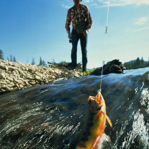 Miniatura 7 de Alwonder 100 paquetes de micro emerillones para pesca con mosca, pequeños emerillones giratorios de barril para aparejos de pesca con mosca
