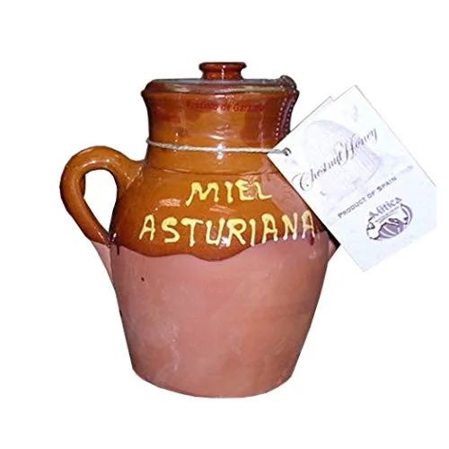 Miel de castaño 1.1 libras - Miel de primera calidad rica, terrosa y picante para cocina gourmet, combinación perfecta con quesos fuertes y carnes