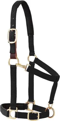 Weaver Leather Dogal acolchado y ajustable a barbilla y garganta, 1 pulgada, para caballo tamaño promedio
