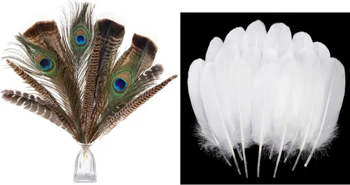 Ballinger 8-12 pulgadas, 4 estilos, 24 plumas de faisán surtidas y 120 plumas de ganso blancas de 6 a 8 pulgadas para manualidades, jarrón,