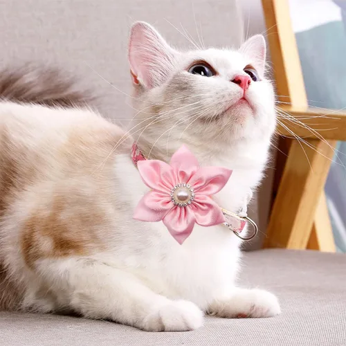 Miniatura 6 de PET SHOW Dijes de flores para perros pequeños de San Valentín, accesorios para perros medianos y grandes, gatos, cachorros, conejos, cerdos, lazos