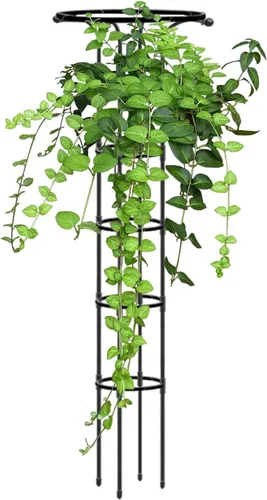 Enrejado para plantas de interior | Enrejado en forma de paraguas para plantas trepadoras | Enrejado de jardín interior, enrejado de jardín, estaca