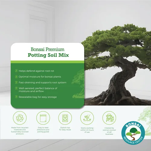 Miniatura 4 de Suelo de bonsái 100% orgánico – Mezcla para macetas totalmente natural y bien drenante para bonsáis saludables, suculentas, cactus y kokedama