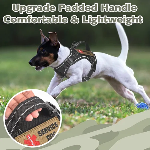 Miniatura 3 de Arnés táctico XS para perro, chaleco de servicio militar para perro con mango vertical, chaleco para cachorros pequeños sin tirones para Negro
