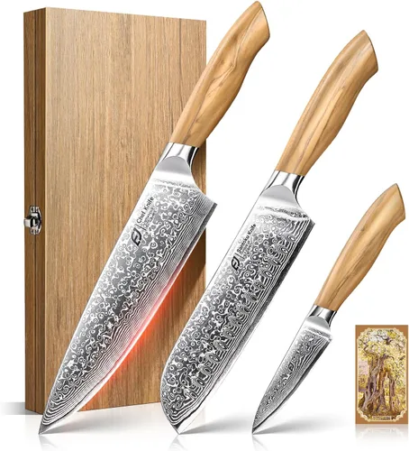 Juego de cuchillos de cocina de Damasco Emojoy, 3 piezas de cuchillos de chef japoneses, cuchillo de 67 capas de Damasco con mango de madera de