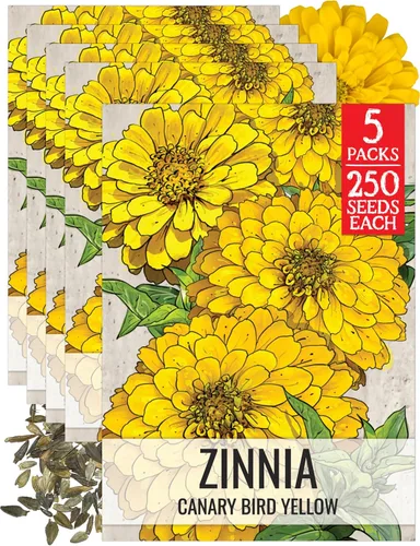 Miniatura 22 de Seed Needs California Giants - Semillas de zinnia – 250 semillas tradicionales para plantar Zinnia elegans – Cultiva flores anuales polinizadas